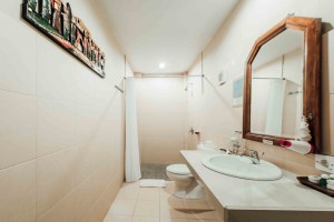 Bathroom-in-Standard-Room
